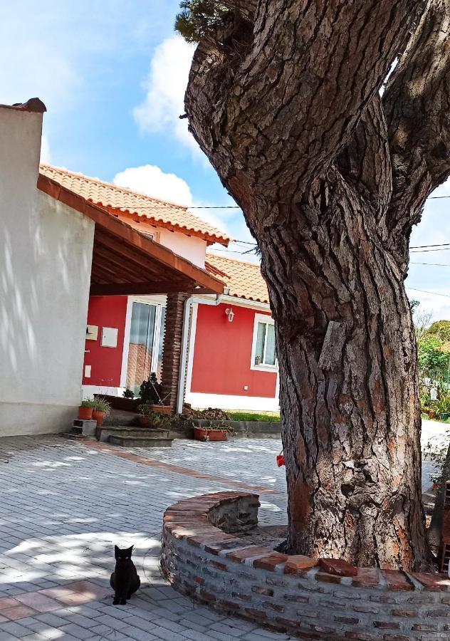Casa De Campo A 5 Minutos Da Praia Atouguia Da Baleia Zewnętrze zdjęcie